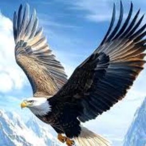 Profile photo of MsmartM