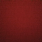 Profile photo of gggg