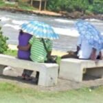 Group logo of Sri Lanka Lovers