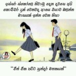 fb_img_15436507253964860