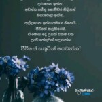 fb_img_16830431752631246