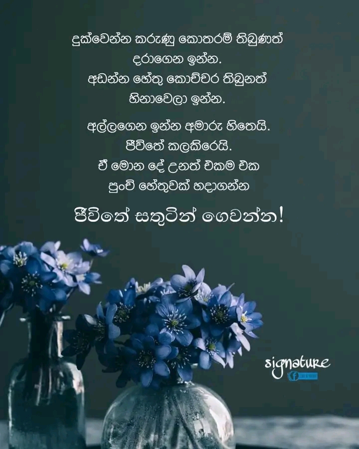 fb_img_16830431752631246